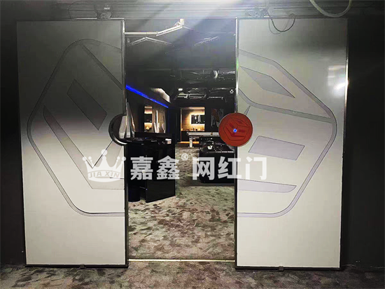 不锈钢掌纹网红门